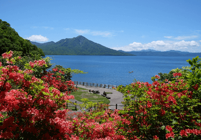Shikotsu Lake Bicycle Rental