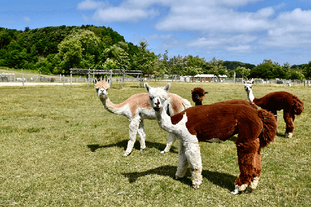 Ebetsu・Eniwa・Naganuma