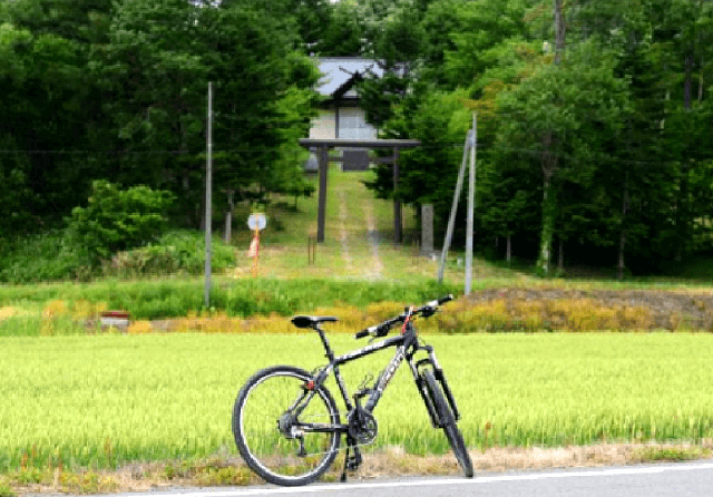 神社御朱印サイクリング (ランチ付)