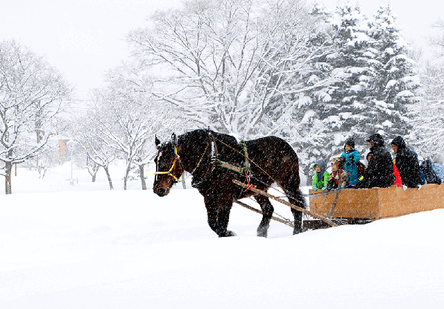 あそ雪の広場